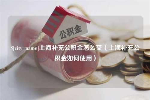 临汾上海补充公积金怎么交（上海补充公积金如何使用）